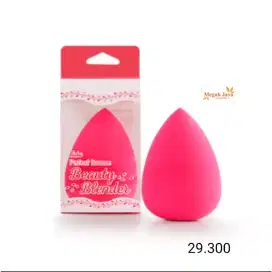 Fanbo beuty blender