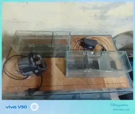 Aquarium dan asesoris ikan dll