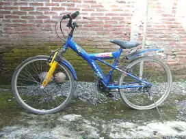 Jual sepeda polygon recoil ukuran 20inch