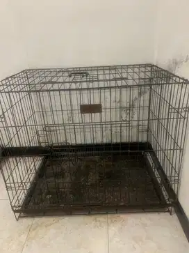 Kandang kucing lipat
