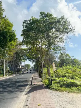 Premium Beach Front Land Benoa
