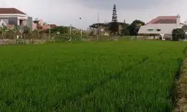 Dijual Rugi Harga NJOP Tanah Poros Jalan Pusat Kota Malang