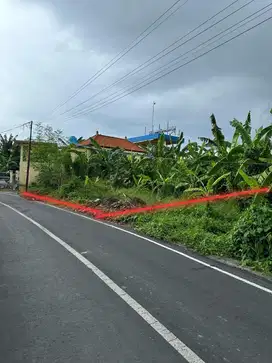 land for rent in seminyak near sunset road