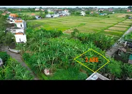 Hanya 350 jt/are di Tanah lot pandak, Sangat Murah