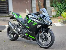 Ninja 250 2019 SE MDP