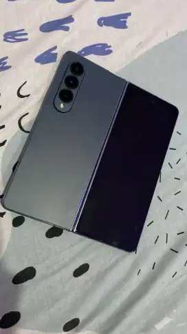 Samsung Fold 4 mulus