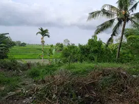 Tanah View Sawah dan Sunset di Munggu Tabanan Bali