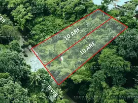 ENCHANTING RIVERFRONT PLOT IN TANAH LOT – A RARE SLICE OF TRANQUILITY