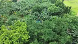 Dijual Tanah Industri di Pasir Jaya, Tangerang - Banten