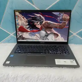 Asus Vivobook X509FA