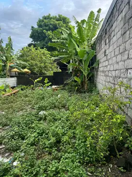 Jual Tanah 1,3 Are di GN Andakasa Gatsu Barat