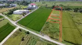 Tanah View Sawah & Sunset di Kedungu Tabanan, 800m dari Pantai! SHM &