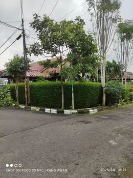 Jual Rumah Cluster ELIT Pasteur Samping Gerbang Toll dan Maranatha
