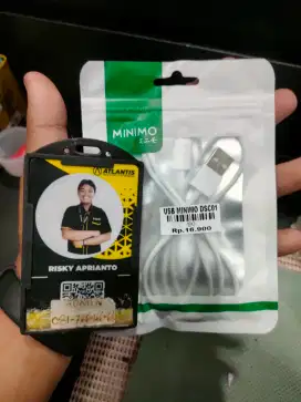 USB MINIMO DSC01 ATLANTIS DAHSYAT