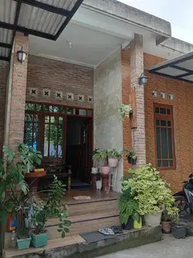 Dijual rumah tlogosari  Jl satriowibowo bebas banjir