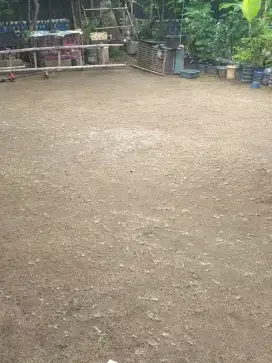 Jasa potong rumput