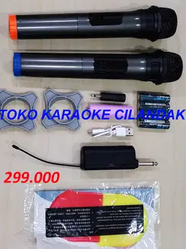 MICROPHONE WIRELESS SIMPLE 2MIC