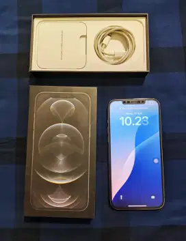 iPhone 12 Pro Max 256 iBox