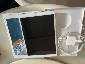 I pad Pro 10.5inch 64GB