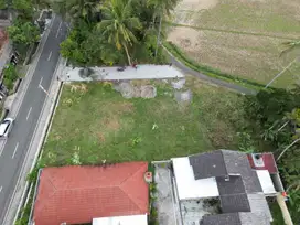 View Sawah Dijual Tanah Di Jalan Godean Moyudan, SHM P