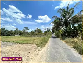 tanah matang di pandanaran sleman harga murah
