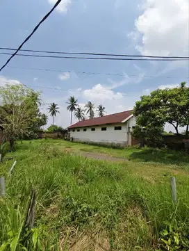 b058 Tanah Luas dan Strategis di Gondanglegi Malang
