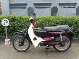 Astrea impressa