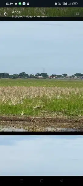 Tanah di Kawasan Ekonomi Khusus Kawasan Pelabuhan Patimban Subang