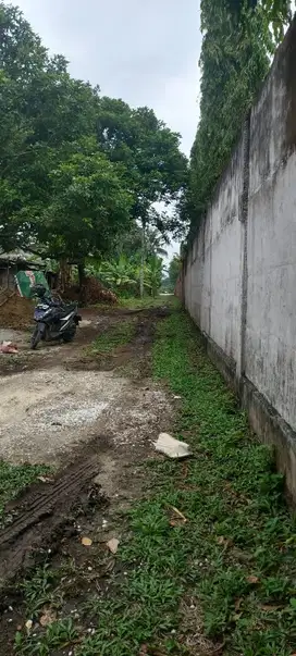 Tanah murah 6000m2  jl Kubang raya 200m dari jl Raya