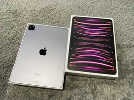 iPad Pro M2 256GB Wifi Only