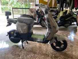 Sepeda listrik / Selis Saige