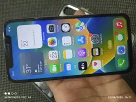 iPhone X 256GB Ex inter