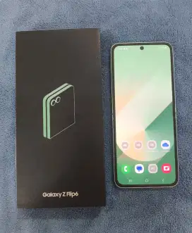 Samsung ZFlip 6 12/512 sein