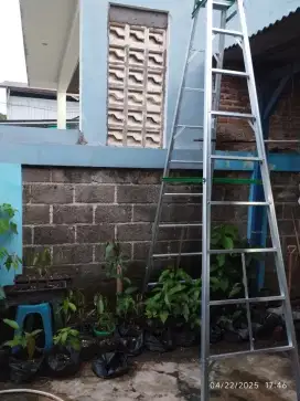 Dijual tangga lipat 3 meter kondisi baru karena salah beli