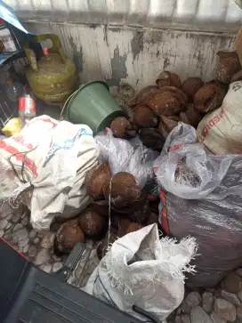 Batok kelapa mentah