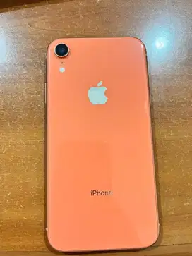 Iphone XR Pink Inter 64GB All Operator