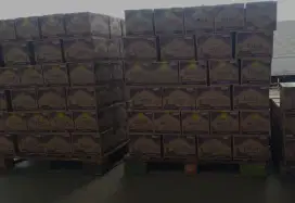 Kopi Turkish yg lgi viral promo beli 1 dapat 2