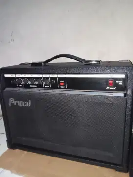amplifer prince