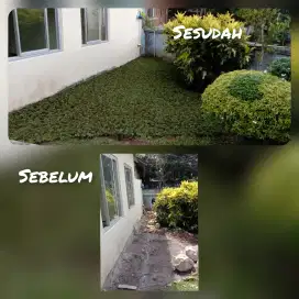 Menerima pembuatan taman minimalis