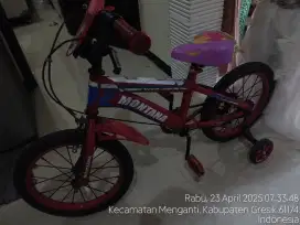 Sepeda anak 16