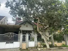 Rumah Luas Tengah Kota GOR Kaliwates