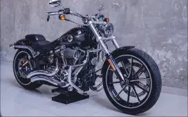 Harley breakout