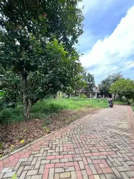 Kami Tawarkan Tanah lokasi  pakintelan Gunungpati UNNES