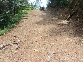 Di jual kebun cocok buat investasi Lokasi di Gunungpati 