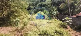 Jual Tanah di Jl Gunung Maloko, Cisauk, Tangerang - Banten