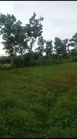Di Jual Murah Tanah di Ciangir Legok Tangerang Banten