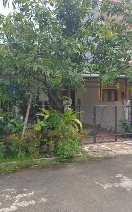 Rumah Lama 1 Lantai di Griya Loka BSD, Hanya 9 Menit ke Tol Serpong