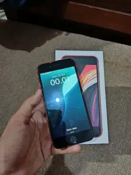 iPhone Se 2020 iBox