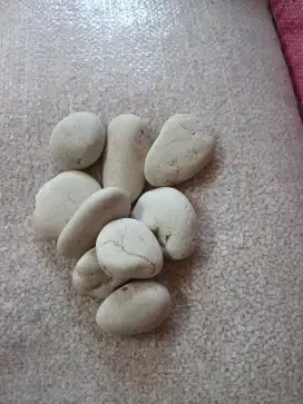 Batu alam koral berbagai warna
