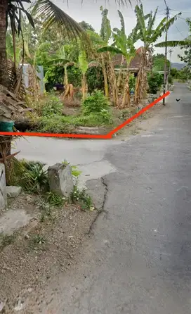 Tanah murah dekat Jl prambanan dekat lapangan bercak Jogotirto